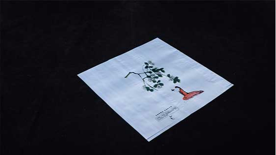 生物降解袋和普通塑料袋（dài）焚燒（shāo）有什麽（me）區（qū）別？