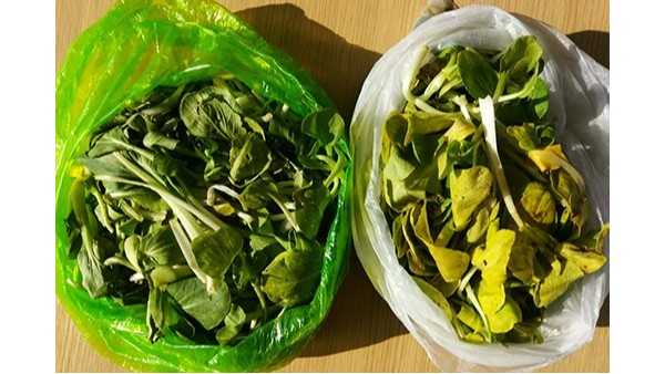 光（guāng）降解塑（sù）料袋和生物降解塑料（liào）袋的區別