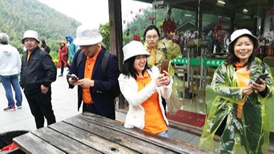 撸撸社員工一日遊——南山竹海（hǎi）