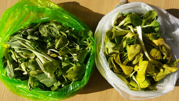 可降解塑料袋（dài）能不能放冰箱？